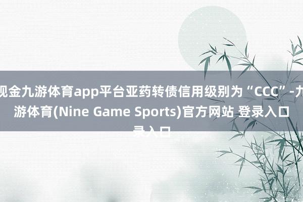 现金九游体育app平台亚药转债信用级别为“CCC”-九游体育(Nine Game Sports)官方网站 登录入口