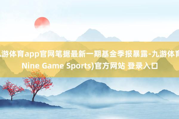 九游体育app官网笔据最新一期基金季报暴露-九游体育(Nine Game Sports)官方网站 登录入口