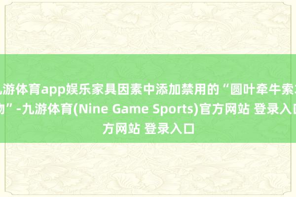 九游体育app娱乐家具因素中添加禁用的“圆叶牵牛索求物”-九游体育(Nine Game Sports)官方网站 登录入口