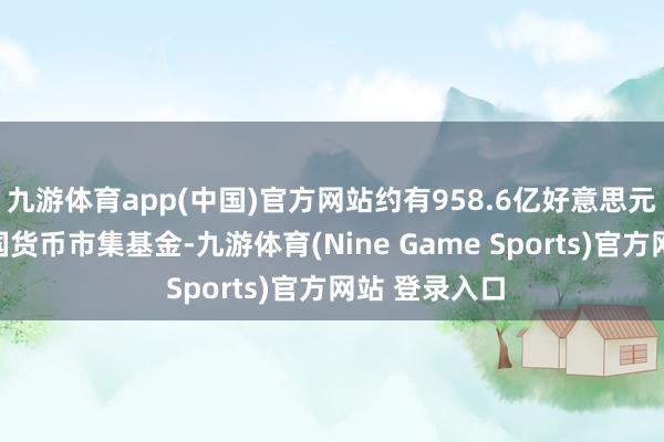 九游体育app(中国)官方网站约有958.6亿好意思元流入好意思国货币市集基金-九游体育(Nine Game Sports)官方网站 登录入口